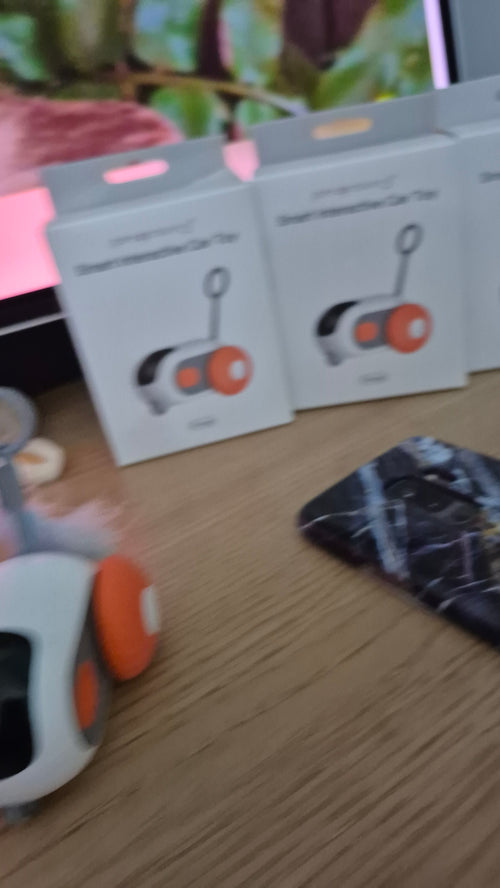 Electric Interactive Mouse Toy for Cats - Remote Control & USB Rechargeable