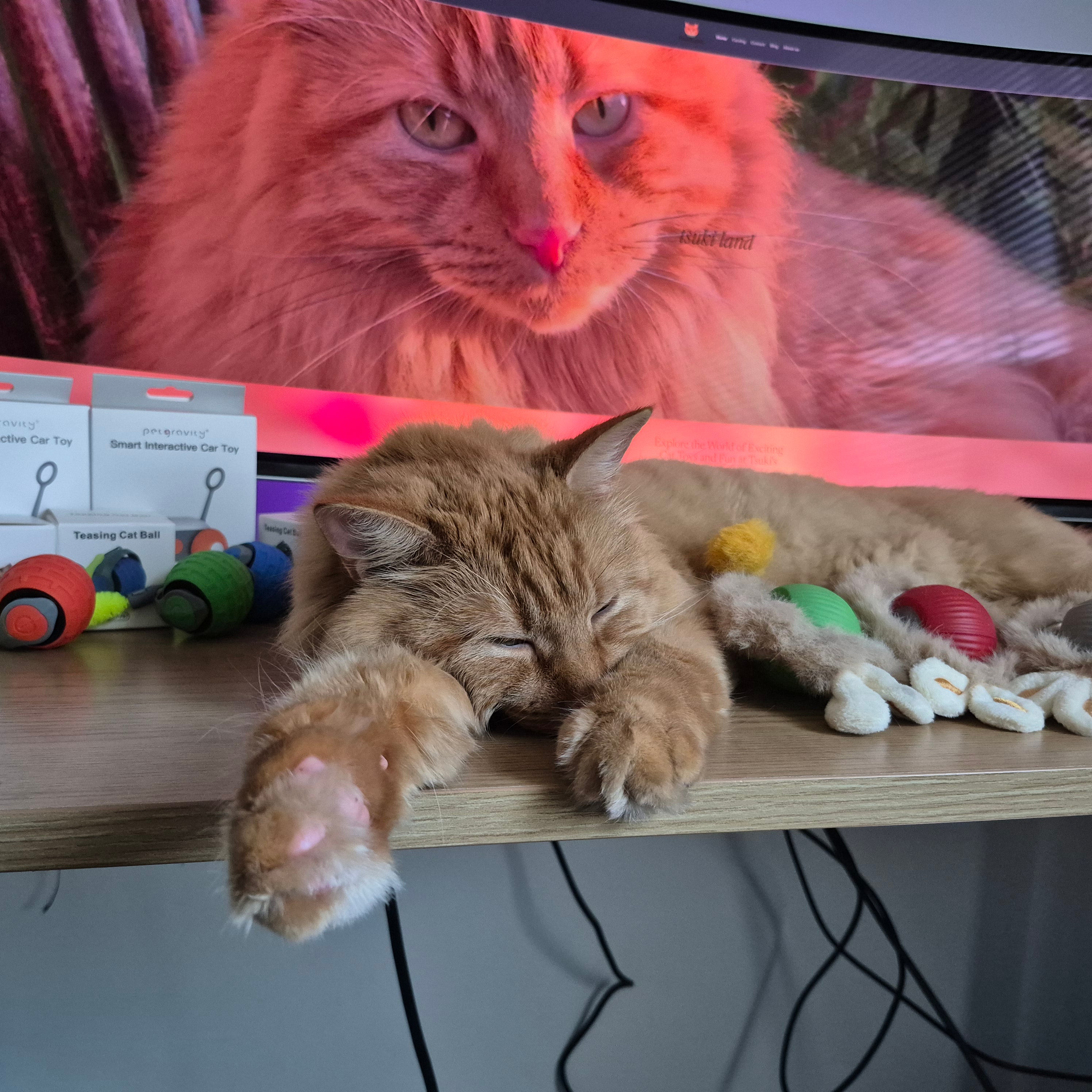 2025 Smart Cat Ball - Self-Rolling Interactive Toy with LED Lights