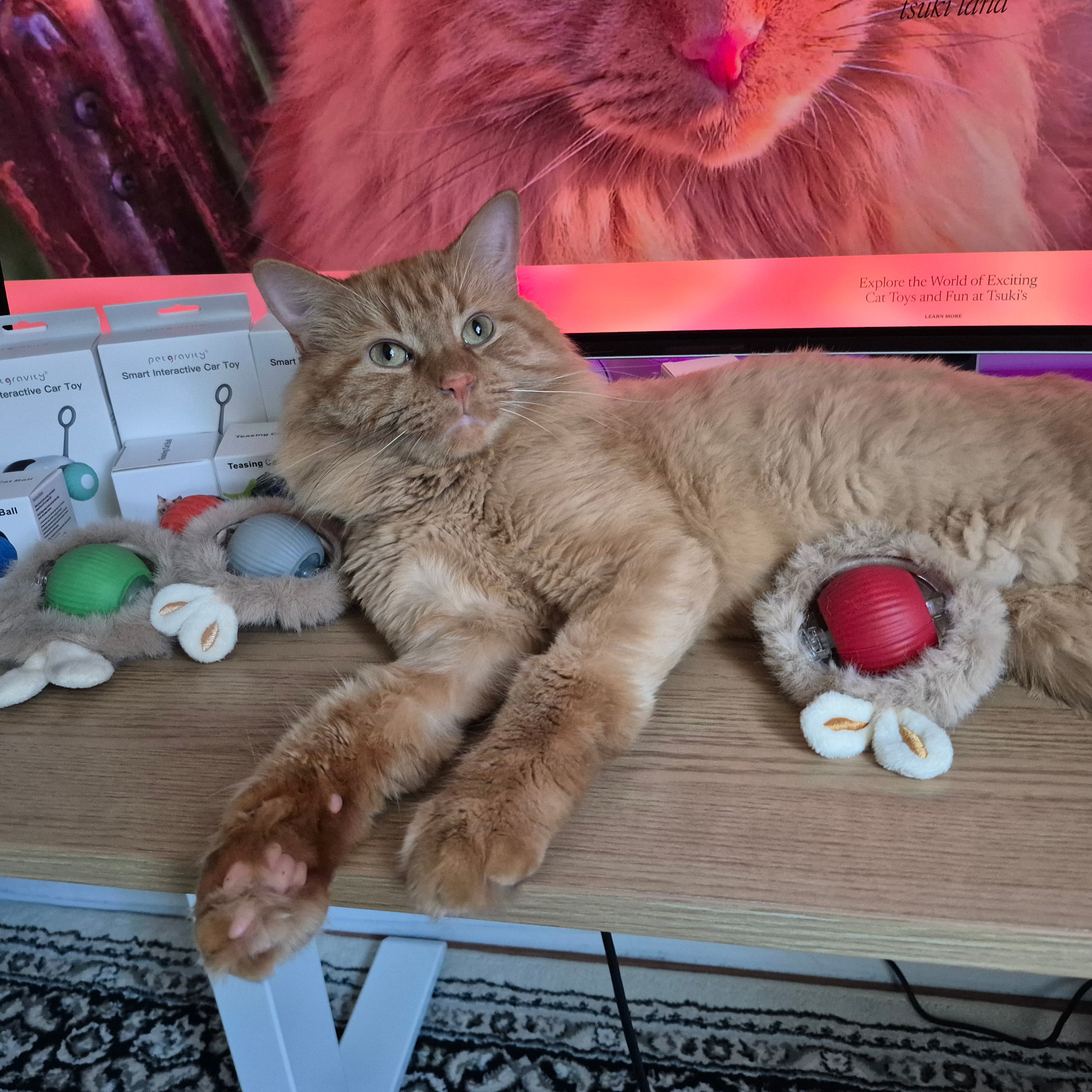 2025 Smart Cat Ball - Self-Rolling Interactive Toy with LED Lights