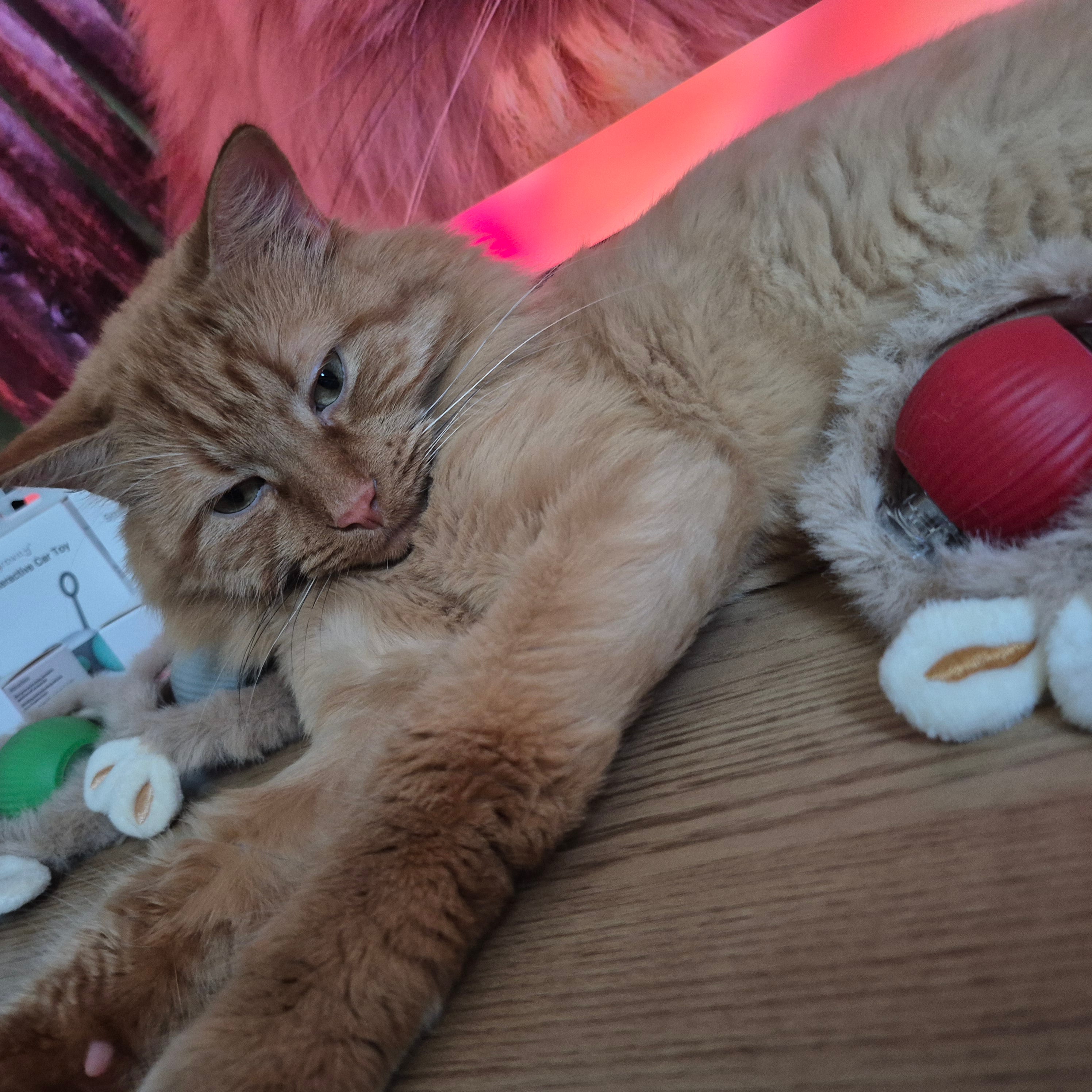 2025 Smart Cat Ball - Self-Rolling Interactive Toy with LED Lights