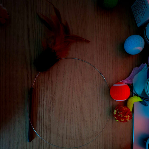 Clear circular object on a wooden surface with toys in the background