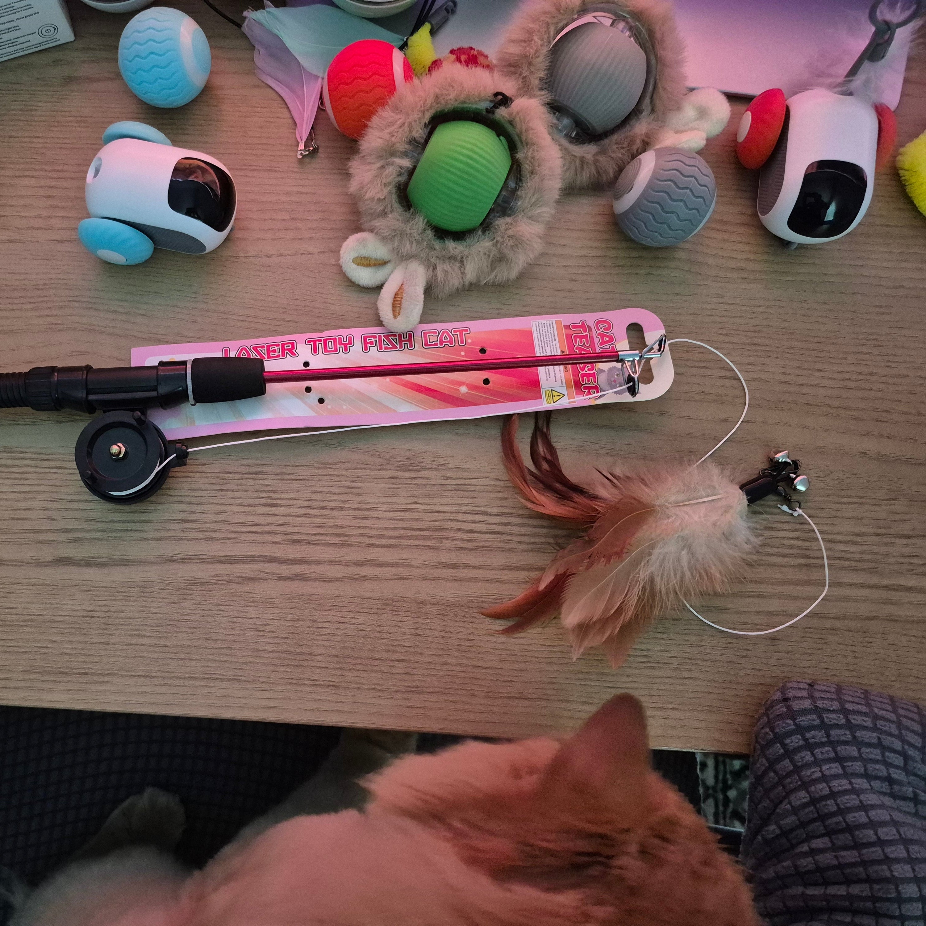 Cat playing with a toy on a wooden table surrounded by various cat toys.