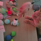 Dog playing with a feather toy on a table with various items around