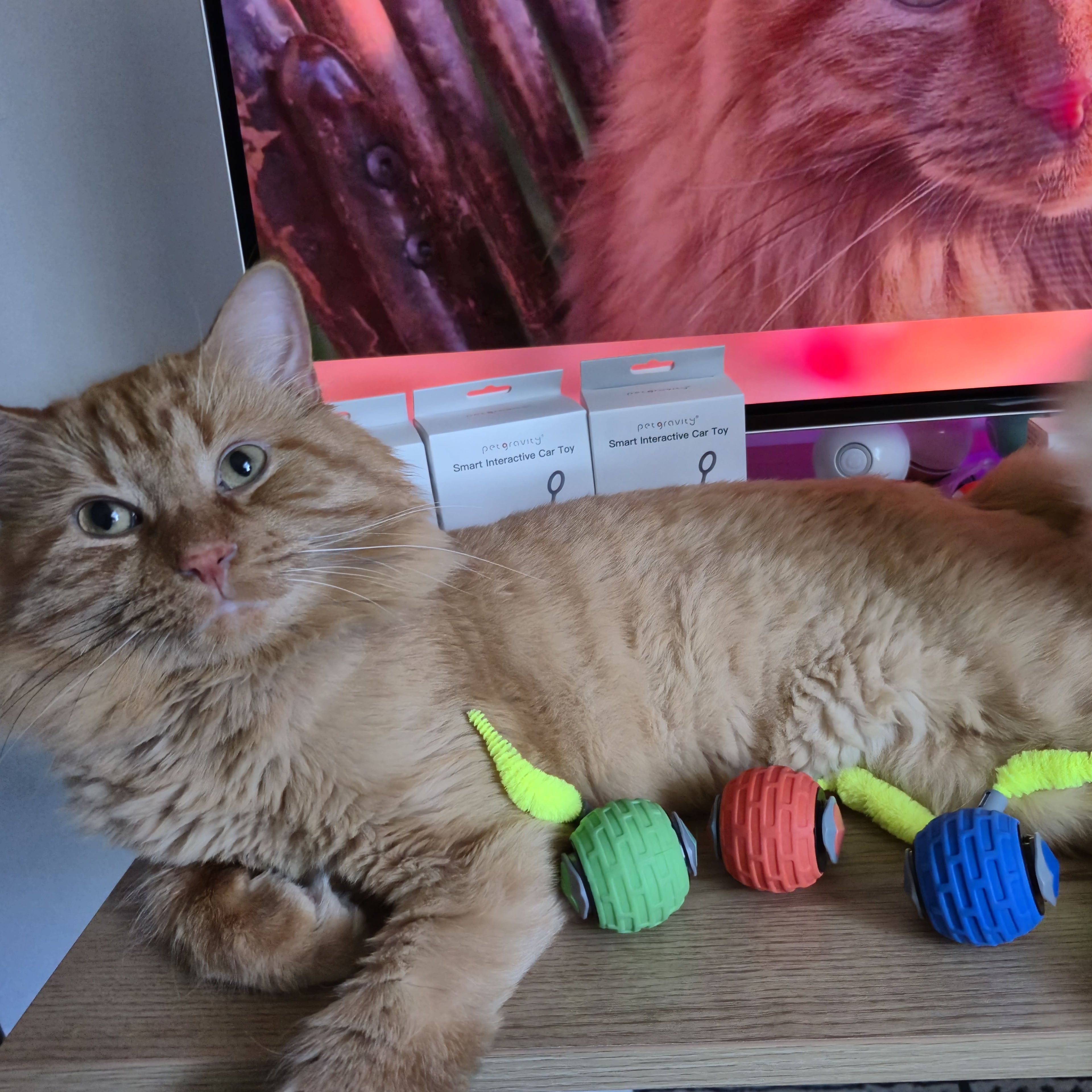 Smart Interactive Cat Ball - USB Rechargeable Auto-Rolling Pet Toy