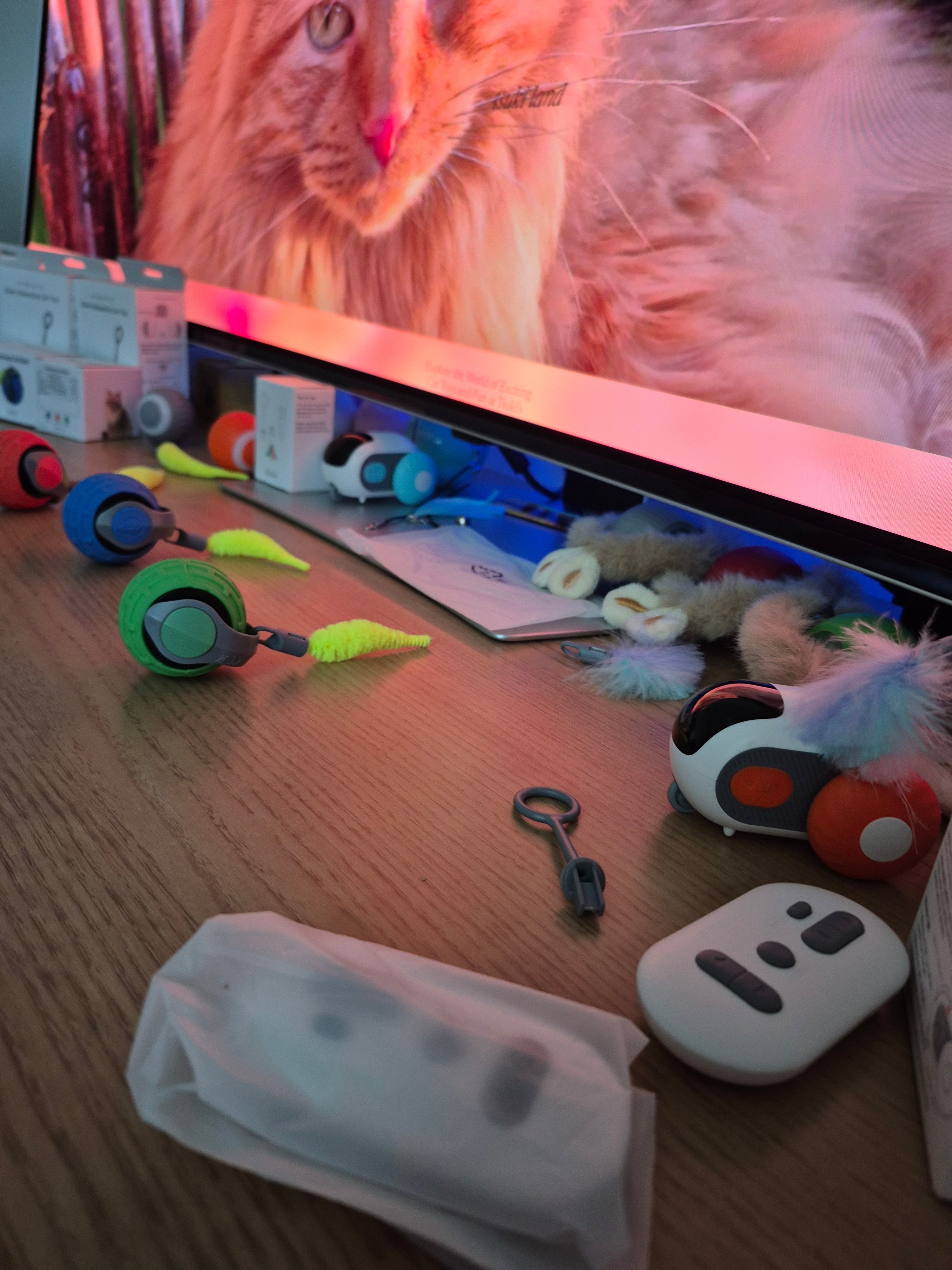 Assorted pet toys and items on a wooden surface with a blurred background