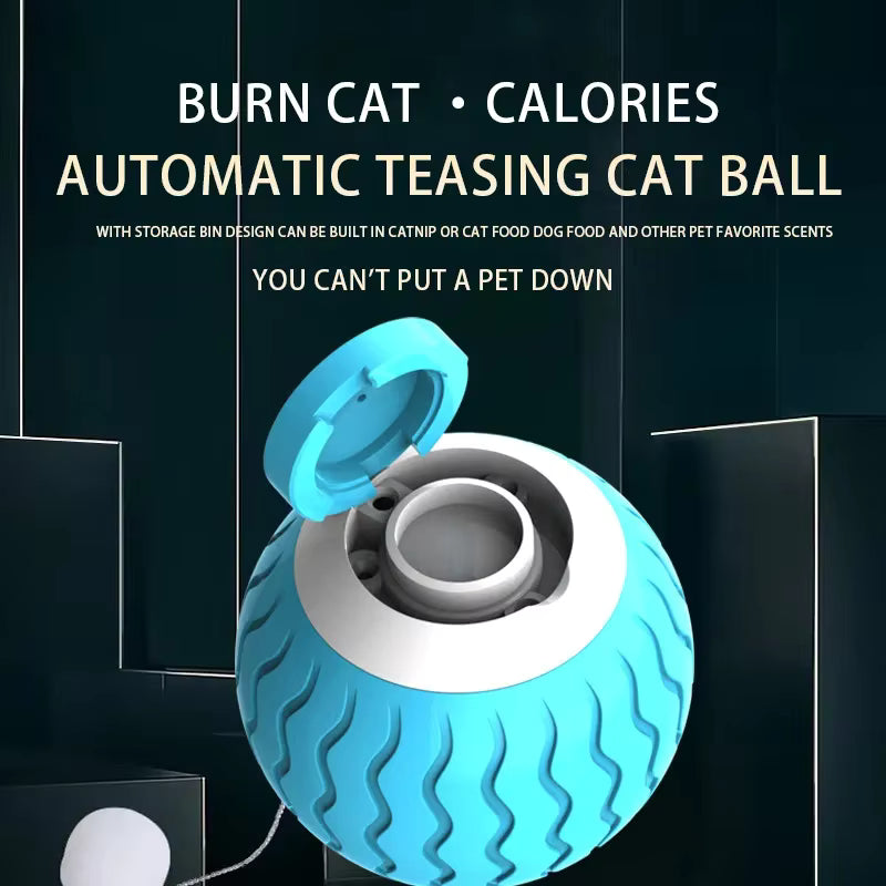 Automatic teasing cat ball with text on a dark background