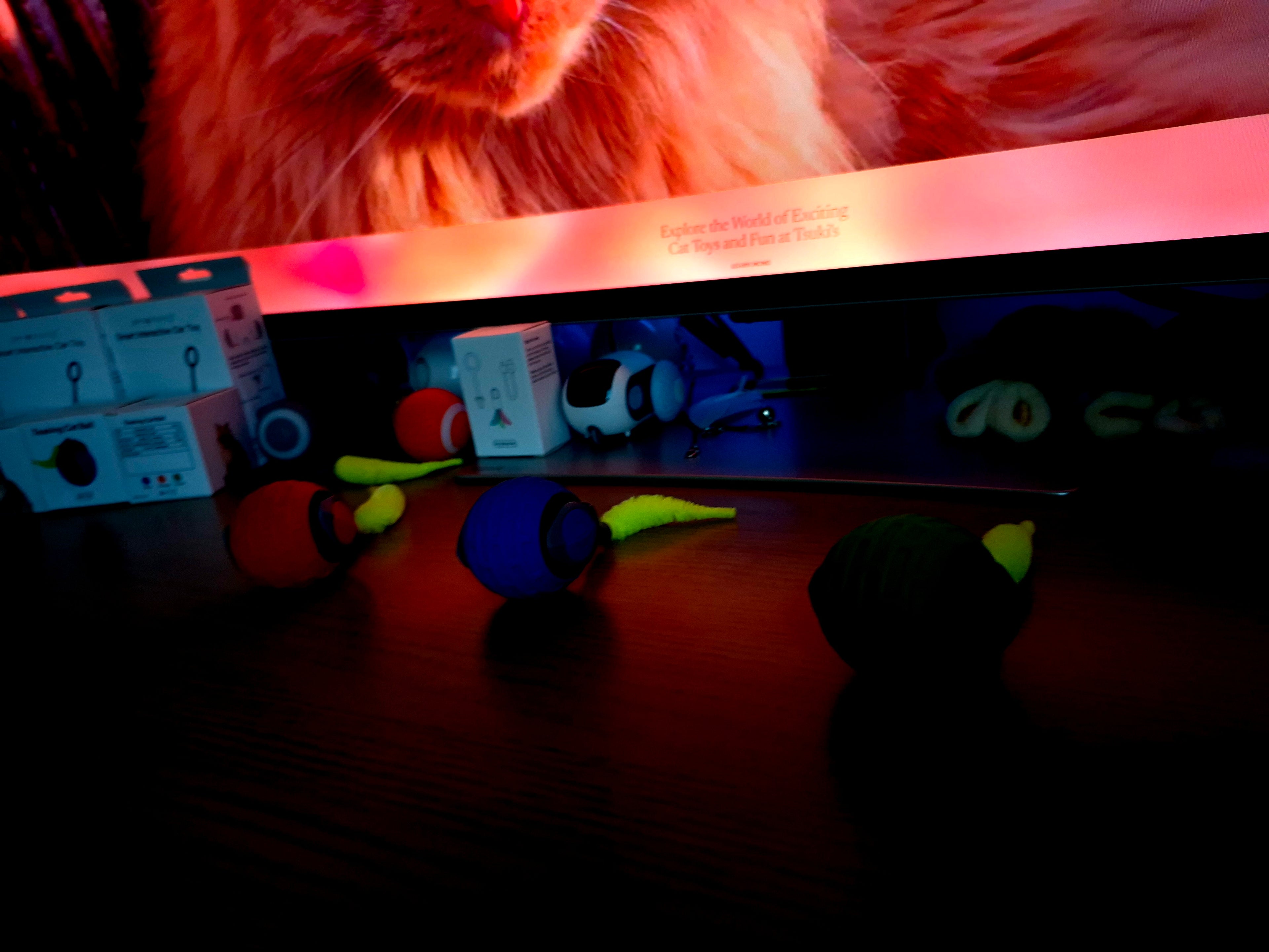 Dog toys on a dark surface with a blurred background