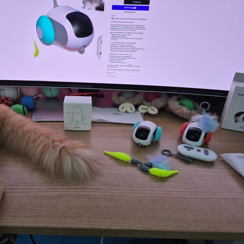 Cat interacting with a robotic pet toy on a desk with a computer screen displaying product information.