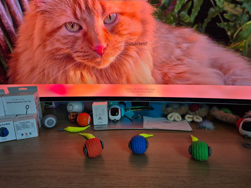 Close-up of a cat looking up at a shelf with various cat toys on a wooden floor.