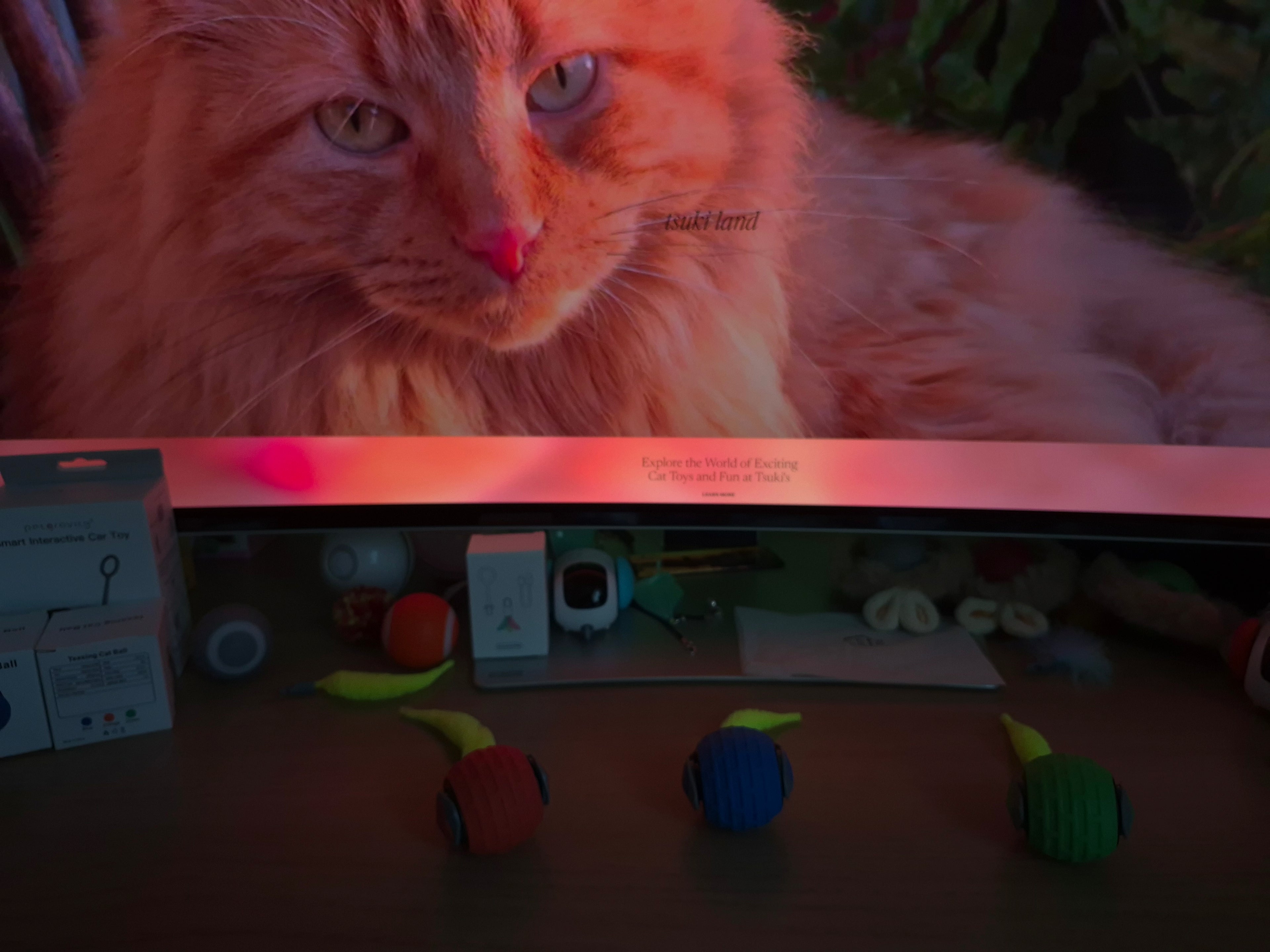 Orange cat sitting on a surface with toys and boxes in the background