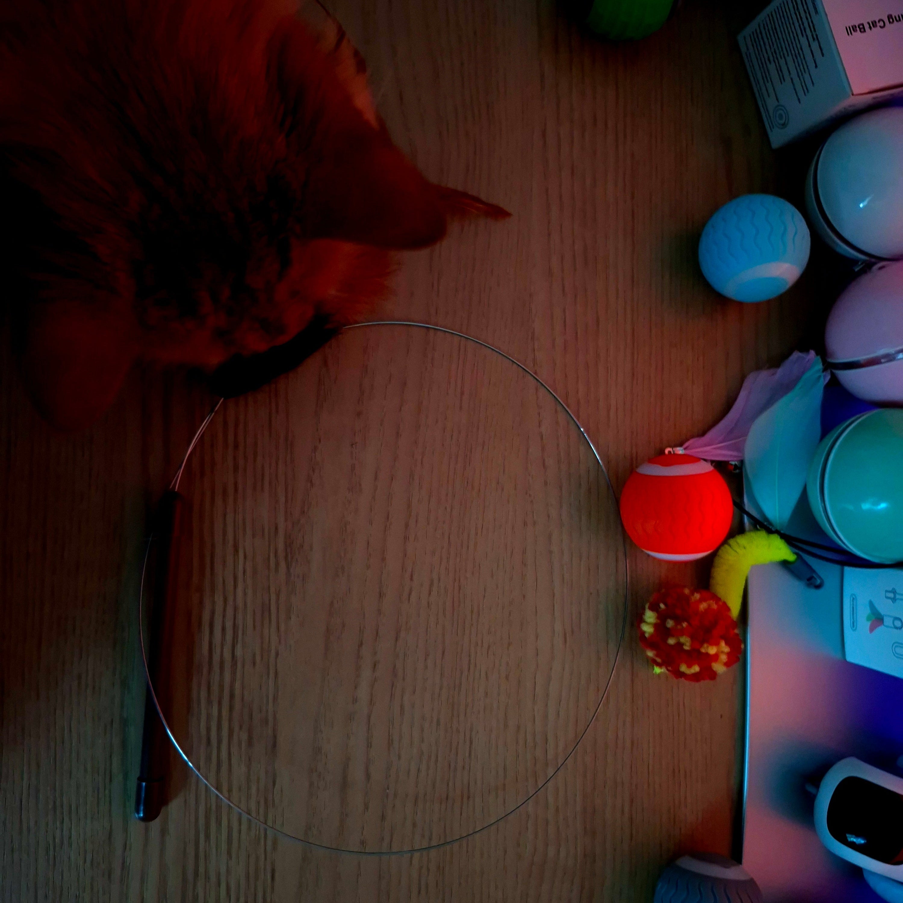 Cat playing with a clear plastic ball on a wooden floor with various toys in the background.