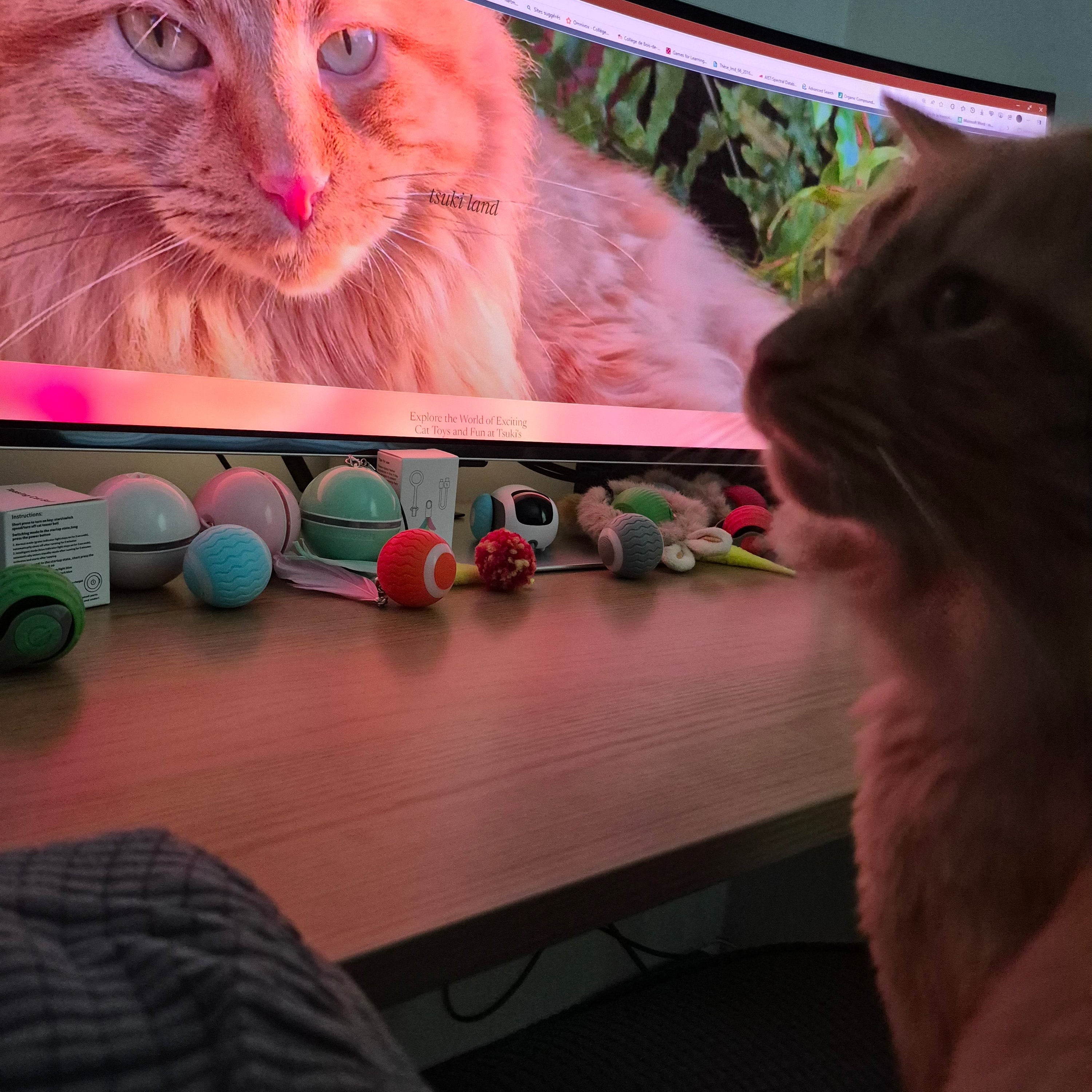 Cat looking at a screen displaying another cat, with a toy train on a table.