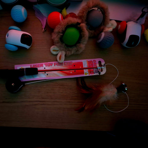 Assorted pet toys on a wooden surface with a toy pointer in the center.