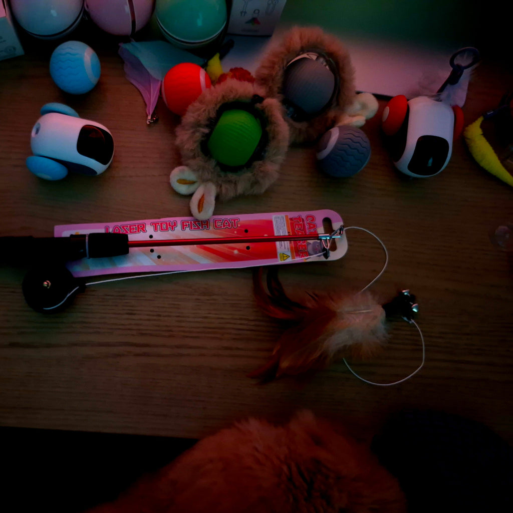 Dog toys and a toy gun on a wooden surface