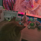 Person using a stylus on a digital display with various items around