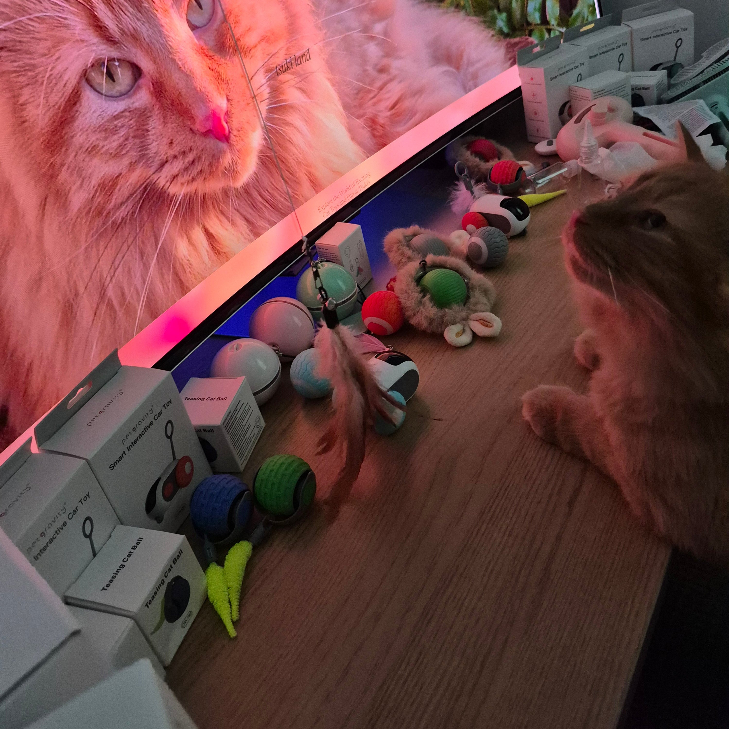Person using a computer with a cat image on the screen, surrounded by small toys.